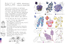 Carica l'immagine nel visualizzatore di Gallery, Piccola flora del viandante - Marine Cressy
