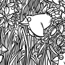 Carica l'immagine nel visualizzatore di Gallery, Il Colorabile - Lorenzo Terranera