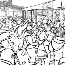 Carica l'immagine nel visualizzatore di Gallery, Coloroma - Lorenzo Terranera
