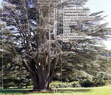 Carica l'immagine nel visualizzatore di Gallery, Qualche uscita. Postpoesia e dintorni - Jean-Marie Gleize