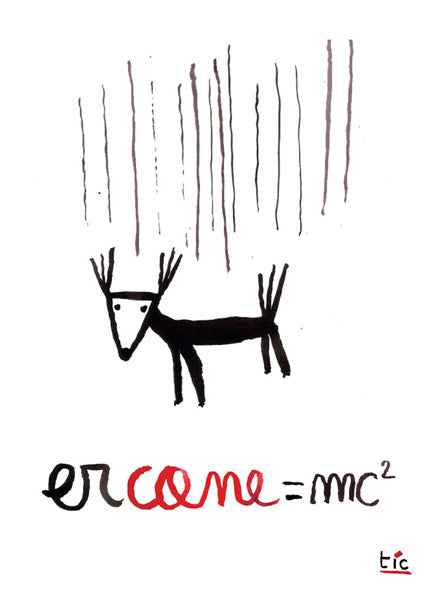Poster - Er cane = mc 2