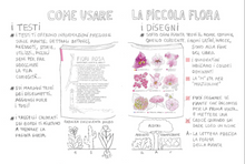 Carica l'immagine nel visualizzatore di Gallery, Piccola flora del viandante - Marine Cressy

