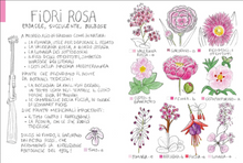 Carica l'immagine nel visualizzatore di Gallery, Piccola flora del viandante - Marine Cressy
