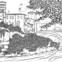 Carica l'immagine nel visualizzatore di Gallery, Coloroma - Lorenzo Terranera
